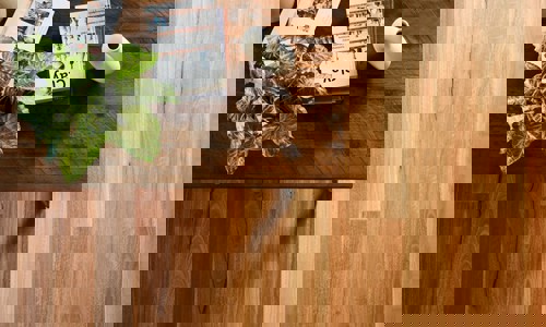 Featured Image